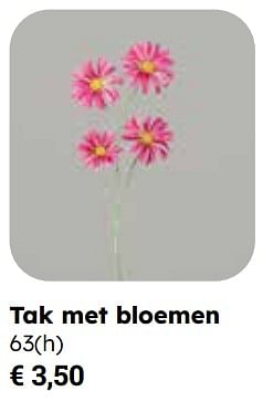 Promotions Tak met bloemen - Produit Maison - Europoint - Valide de 25/03/2024 à 12/05/2024 chez Europoint