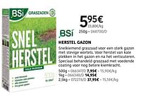 Herstel gazon-BSI