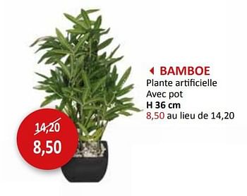 Promoties Bamboe plante artificielle avec pot - Huismerk - Weba - Geldig van 27/03/2024 tot 16/05/2024 bij Weba