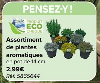 Promoties Assortiment de plantes aromatiques - Huismerk - Carrefour  - Geldig van 10/04/2024 tot 22/04/2024 bij Carrefour