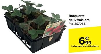 Promoties Barquette de 6 fraisiers - Huismerk - Carrefour  - Geldig van 10/04/2024 tot 22/04/2024 bij Carrefour