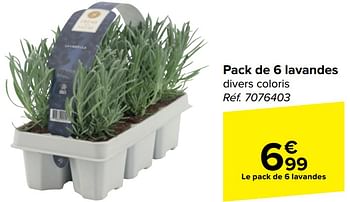 Promoties Pack de 6 lavandes - Huismerk - Carrefour  - Geldig van 10/04/2024 tot 22/04/2024 bij Carrefour