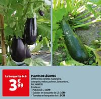 Plants de légumes-Huismerk - Auchan