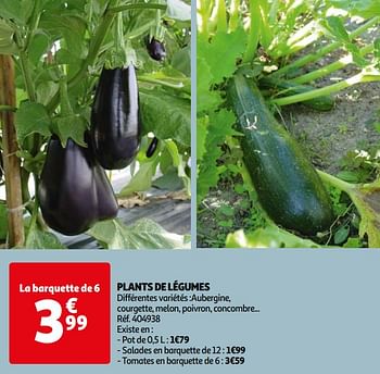 Promotions Plants de légumes - Produit Maison - Auchan Ronq - Valide de 16/04/2024 à 22/04/2024 chez Auchan Ronq
