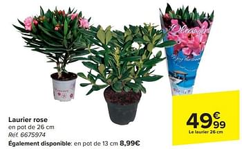 Promoties Laurier rose - Huismerk - Carrefour  - Geldig van 17/04/2024 tot 29/04/2024 bij Carrefour
