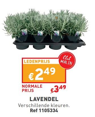 Promotions Lavendel - Produit maison - Trafic  - Valide de 17/04/2024 à 22/04/2024 chez Trafic