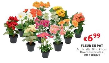 Promotions Fleur en pot - Produit maison - Trafic  - Valide de 17/04/2024 à 22/04/2024 chez Trafic