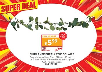 Promotions Guirlande eucalyptus solaire - Produit maison - Trafic  - Valide de 17/04/2024 à 22/04/2024 chez Trafic