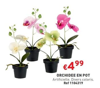 Promoties Orchidee en pot - Huismerk - Trafic  - Geldig van 17/04/2024 tot 22/04/2024 bij Trafic