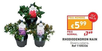 Promoties Rhododendron nain - Huismerk - Trafic  - Geldig van 17/04/2024 tot 22/04/2024 bij Trafic