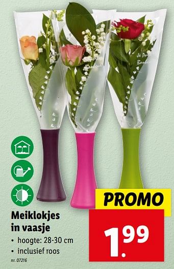 Promoties Meiklokjes in vaasje - Huismerk - Lidl - Geldig van 24/04/2024 tot 30/04/2024 bij Lidl