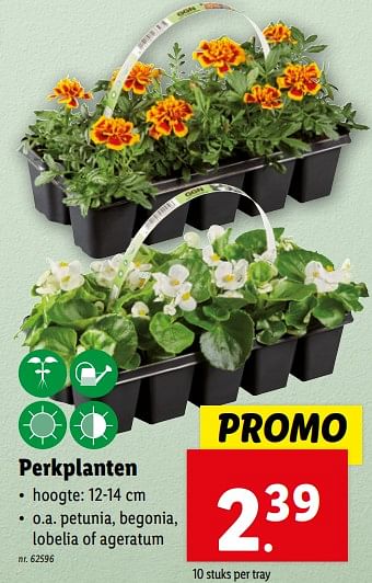 Promoties Perkplanten - Huismerk - Lidl - Geldig van 24/04/2024 tot 30/04/2024 bij Lidl