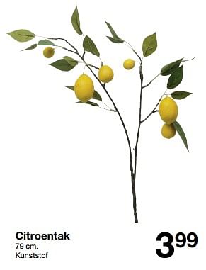 Promotions Citroentak - Produit maison - Zeeman  - Valide de 20/04/2024 à 26/04/2024 chez Zeeman