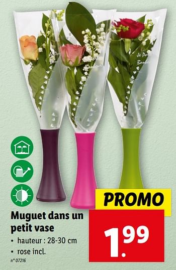 Promoties Muguet dans un petit vase - Huismerk - Lidl - Geldig van 24/04/2024 tot 30/04/2024 bij Lidl