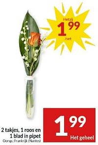 2 takjes 1 roos en 1 blad in pipet-Huismerk - Intermarche