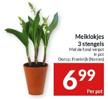 Promotions Meiklokjes 3 stengels - Produit maison - Intermarche - Valide de 23/04/2024 à 28/04/2024 chez Intermarche