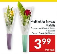 Promoties Meiklokjes in vaas maialis - Huismerk - Intermarche - Geldig van 23/04/2024 tot 28/04/2024 bij Intermarche