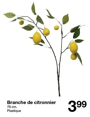 Promotions Branche de citronnier - Produit maison - Zeeman  - Valide de 20/04/2024 à 26/04/2024 chez Zeeman