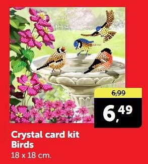 Promotions Crystal card kit birds - Crystal Card Kit - Valide de 20/04/2024 à 28/04/2024 chez BoekenVoordeel