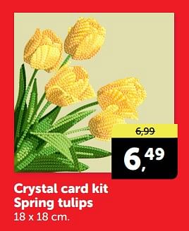 Promotions Crystal card kit spring tulips - Crystal Card Kit - Valide de 20/04/2024 à 28/04/2024 chez BoekenVoordeel