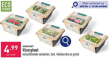 Promoties Vijverplant - Garden line - Geldig van 29/04/2024 tot 05/05/2024 bij Aldi