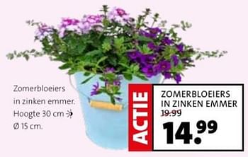 Promoties Zomerbloeiers in zinken emmer - Huismerk - Intratuin - Geldig van 22/04/2024 tot 28/04/2024 bij Intratuin
