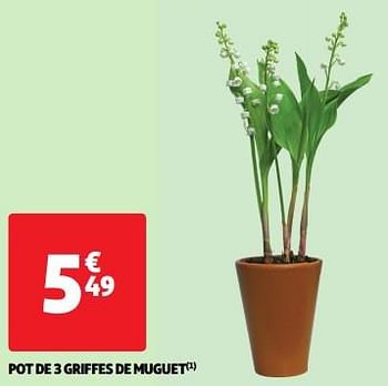 Promoties Pot de 3 griffes de muguet - Huismerk - Auchan - Geldig van 23/04/2024 tot 28/04/2024 bij Auchan