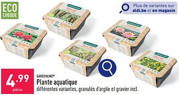 Promotions Plante aquatique - Garden line - Valide de 04/05/2024 à 05/05/2024 chez Aldi