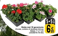 Promoties Bakje met 10 geraniums - Huismerk - Cora - Geldig van 23/04/2024 tot 06/05/2024 bij Cora