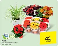 Plant-Huismerk - Carrefour 