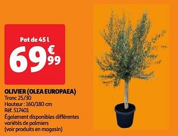Promoties Olivier olea europaea - Huismerk - Auchan - Geldig van 23/04/2024 tot 29/04/2024 bij Auchan