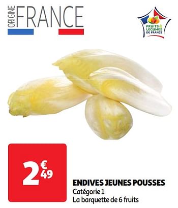 Promoties Endives jeunes pousses - Huismerk - Auchan - Geldig van 23/04/2024 tot 29/04/2024 bij Auchan