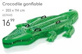 Promotions Crocodile gonflable - Produit maison - Mr. Bricolage - Valide de 23/04/2024 à 30/06/2024 chez Mr. Bricolage