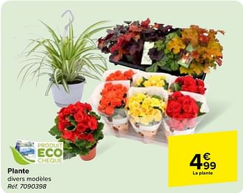 Promoties Plante - Huismerk - Carrefour  - Geldig van 24/04/2024 tot 06/05/2024 bij Carrefour