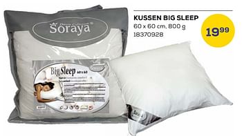 Promotions Kussen big sleep - Soraya - Valide de 18/04/2024 à 16/05/2024 chez Supra Bazar