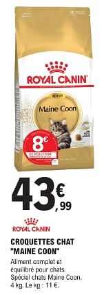 Croquettes chat maine coon-Royal Canin