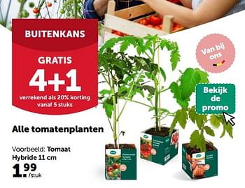 Promoties Tomaat hybride - Huismerk - Aveve - Geldig van 24/04/2024 tot 05/05/2024 bij Aveve