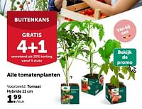 Tomaat hybride-Huismerk - Aveve
