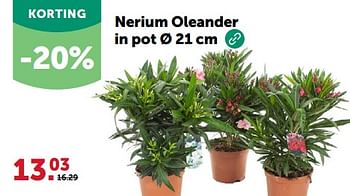 Promotions Nerium oleander in pot - Produit maison - Aveve - Valide de 24/04/2024 à 05/05/2024 chez Aveve