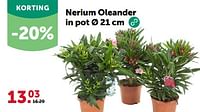 Promoties Nerium oleander in pot - Huismerk - Aveve - Geldig van 24/04/2024 tot 05/05/2024 bij Aveve