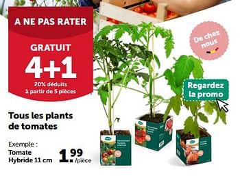 Promoties Tomate hybride - Huismerk - Aveve - Geldig van 24/04/2024 tot 05/05/2024 bij Aveve