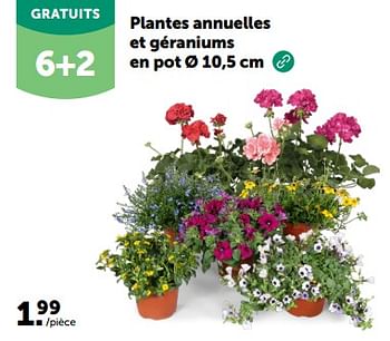 Promoties Plantes annuelles et géraniums en pot - Huismerk - Aveve - Geldig van 24/04/2024 tot 05/05/2024 bij Aveve