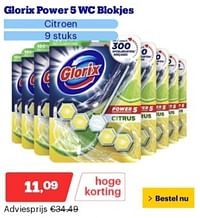 Glorix power 5 wc blokje-Glorix