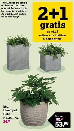 Promoties Bloempot relief - Huismerk - Leen Bakker - Geldig van 22/04/2024 tot 05/05/2024 bij Leen Bakker