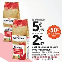 Café grains pur arabica plantation-Plantation