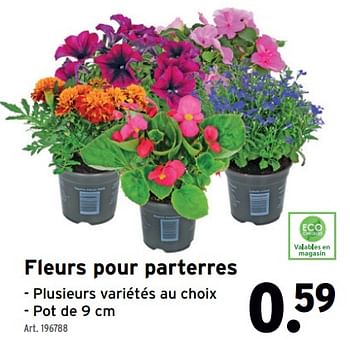Promotions Fleurs pour parterres - Produit maison - Gamma - Valide de 24/04/2024 à 30/04/2024 chez Gamma