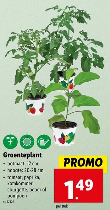 Promoties Groenteplant - Huismerk - Lidl - Geldig van 02/05/2024 tot 07/05/2024 bij Lidl