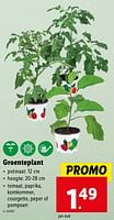 Promoties Groenteplant - Huismerk - Lidl - Geldig van 02/05/2024 tot 07/05/2024 bij Lidl
