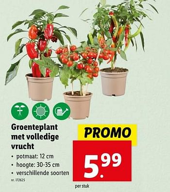 Promotions Groenteplant met volledige vrucht - Produit maison - Lidl - Valide de 02/05/2024 à 07/05/2024 chez Lidl