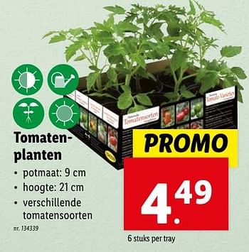 Promotions Tomatenplanten - Produit maison - Lidl - Valide de 02/05/2024 à 07/05/2024 chez Lidl